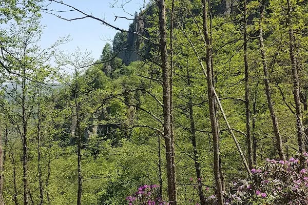 Simba Uçarsu Şelalesi - Resim 19