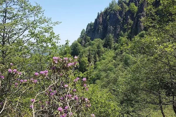 Simba Uçarsu Şelalesi - Resim 15