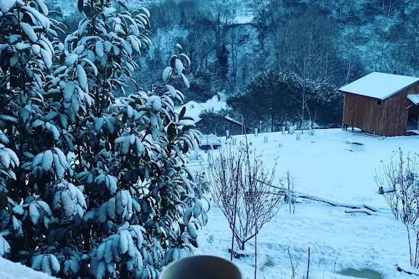 Arslanlar Konağı Hotel & Restaurant - Resim 9