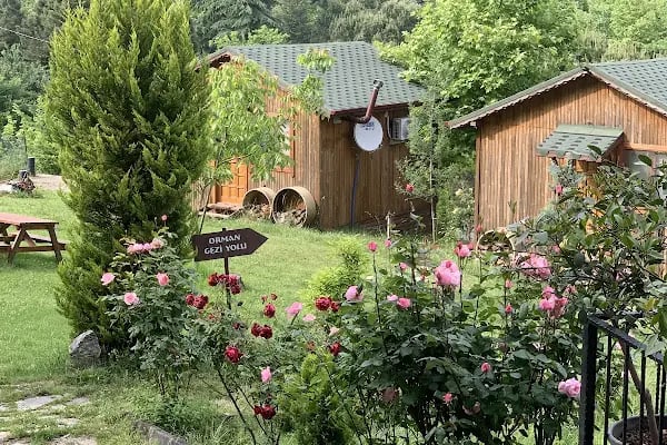Arslanlar Konağı Hotel & Restaurant - Resim 5