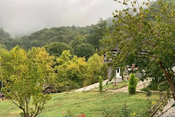 Arslanlar Konağı Hotel & Restaurant - Resim 7