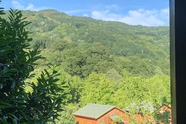 Arslanlar Konağı Hotel & Restaurant - Resim 18