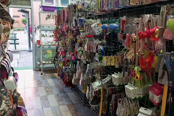 PaPi PETSHOP - Resim 4