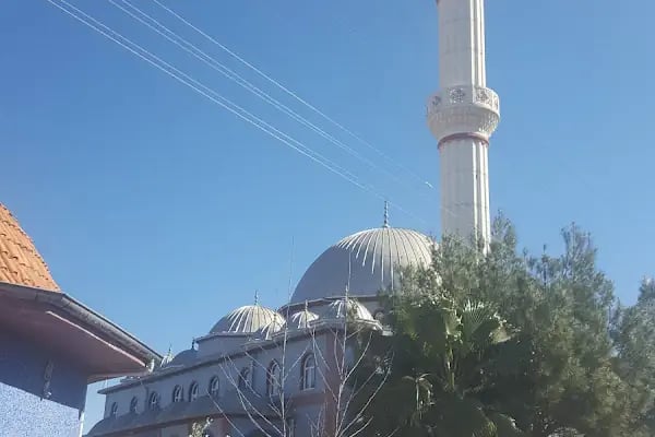 Hacı Havva Avcı Cami - Resim 12