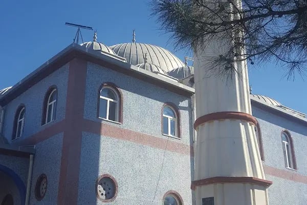 Hacı Havva Avcı Cami - Resim 4