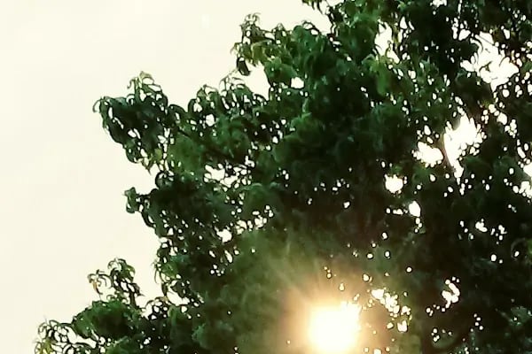Reyhan Sitesi - Resim 19