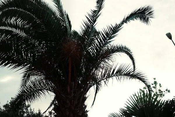 Reyhan Sitesi - Resim 4