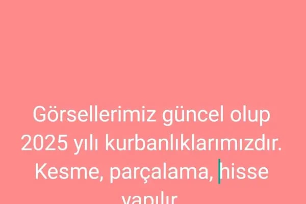 Kurbanlık kesim yeri abdullah alkan - Resim 8