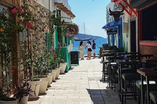GRATİS BODRUM CD - Resim 19