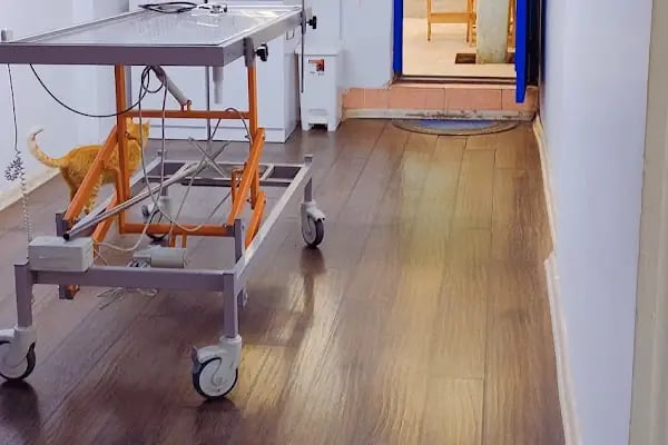 KUMRU Veteriner Kliniği - Resim 3