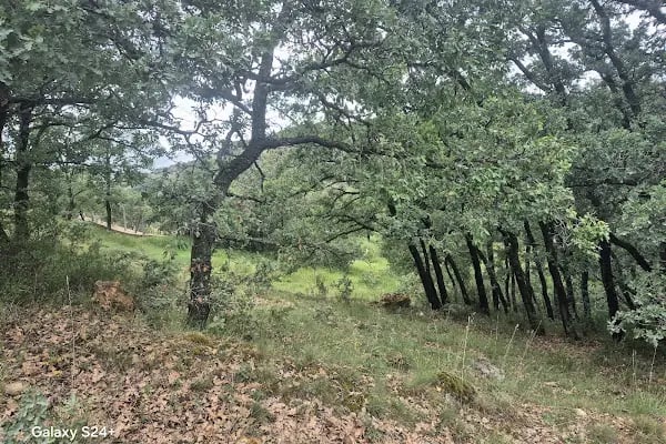 BAŞAYAŞ SULAMA GÖLETİ - Resim 15