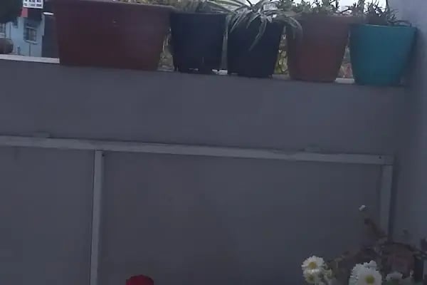 Çayırovaspor Kulübü Tesisleri - Resim 14