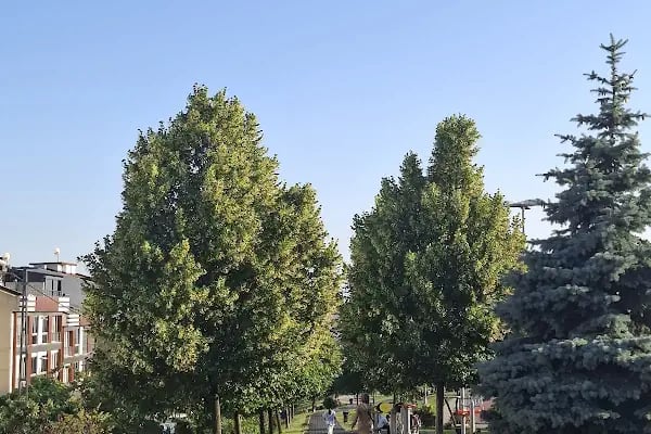 Küçükçekmece Belediyesi Söğütlüçeşme Yaşam Parkı - Resim 17