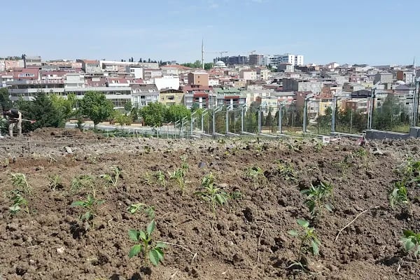 Küçükçekmece Belediyesi Söğütlüçeşme Yaşam Parkı - Resim 8