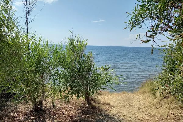 Tavşan Burnu Orman Kampı - Resim 18