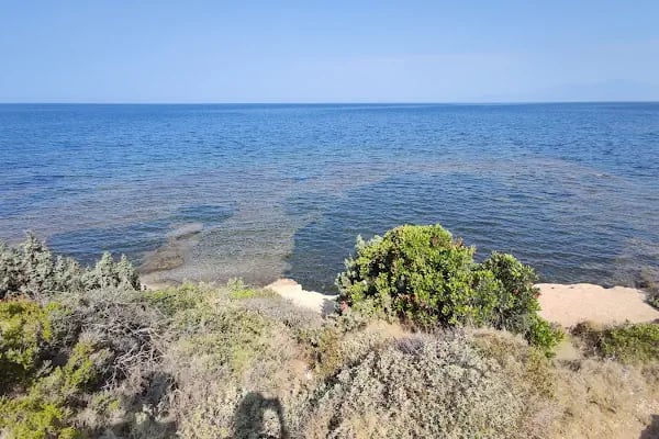 Tavşan Burnu Orman Kampı - Resim 15