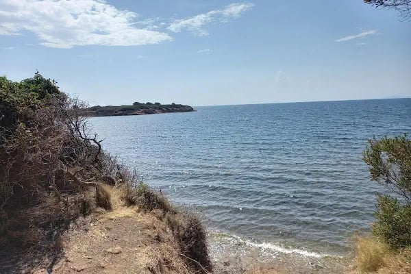 Tavşan Burnu Orman Kampı - Resim 4