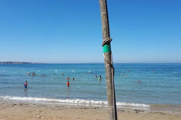 Tavşan Burnu Orman Kampı - Resim 11