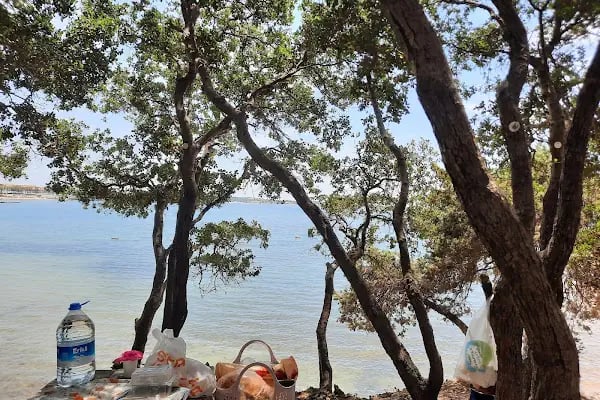 Tavşan Burnu Orman Kampı - Resim 10