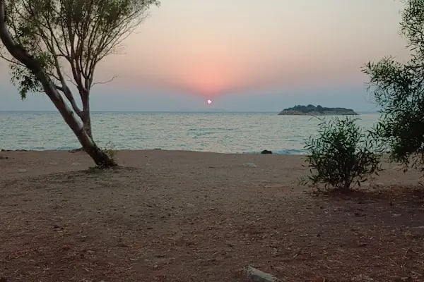 Tavşan Burnu Orman Kampı - Resim 6