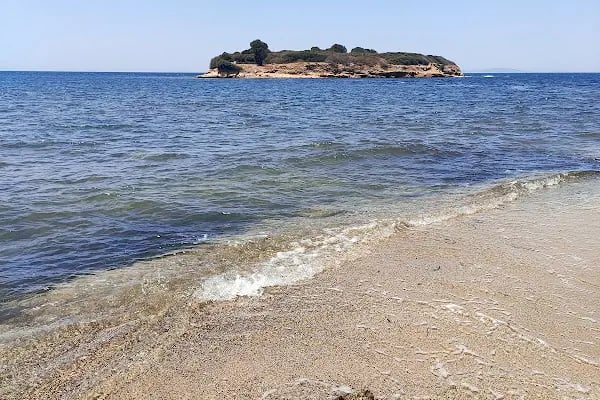 Tavşan Burnu Orman Kampı - Resim 13