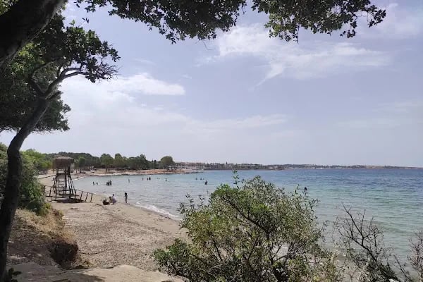 Tavşan Burnu Orman Kampı - Resim 9