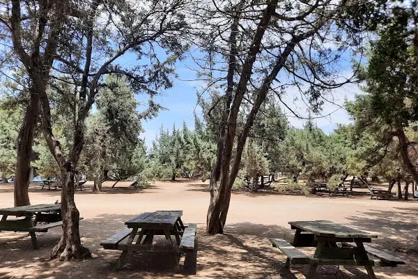 Tavşan Burnu Orman Kampı - Resim 3