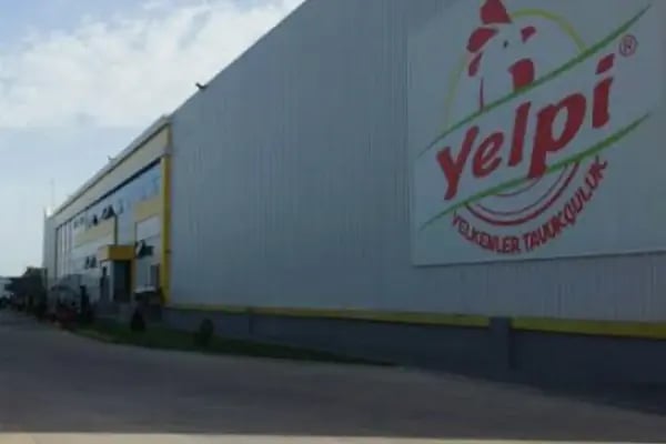 Yelpi tavukçuluk İnegöl Bursa - Resim 1