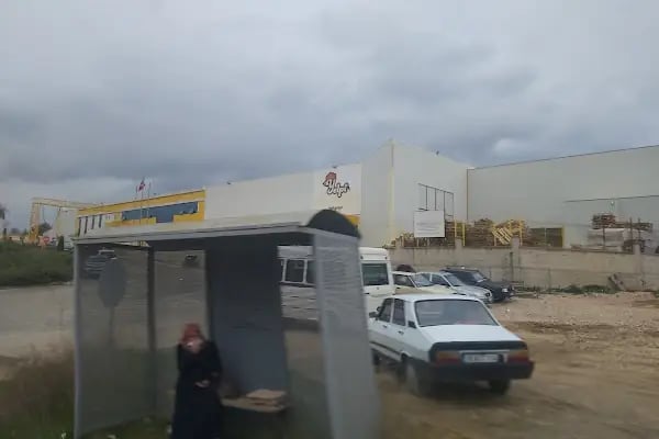 Yelpi tavukçuluk İnegöl Bursa - Resim 3
