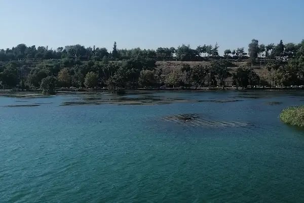 Boş biyer - Resim 14