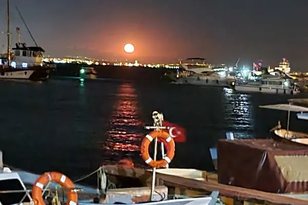 Boş biyer - Resim 16