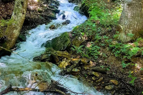 Büyükşehir Belediyesi Kamp Alanı - Resim 15