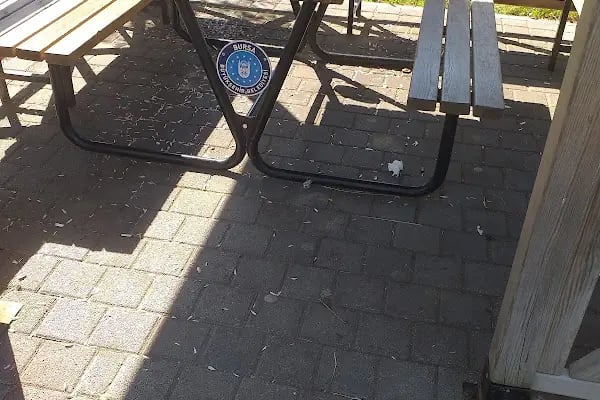 Büyūkşehir Parkı - Resim 19