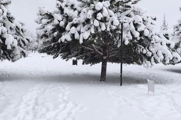 Büyūkşehir Parkı - Resim 17