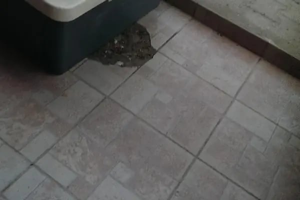 Sakaryavet Vet-Mim Veterinerlik Hizmetleri - Resim 17