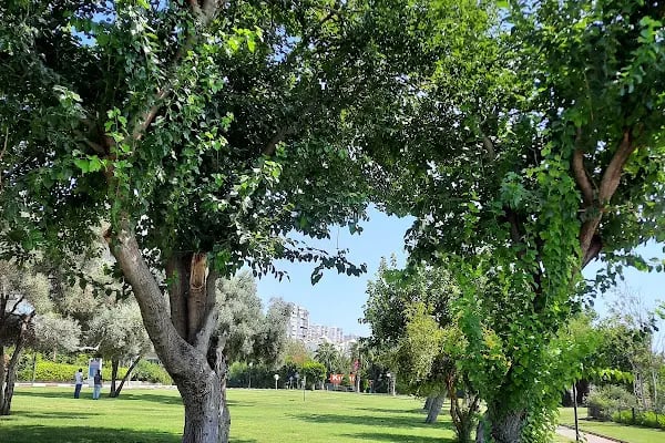 Yalım Parkı - Resim 17
