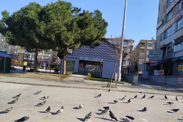 Bağcılar Belediyesi Dil Evi - Resim 2