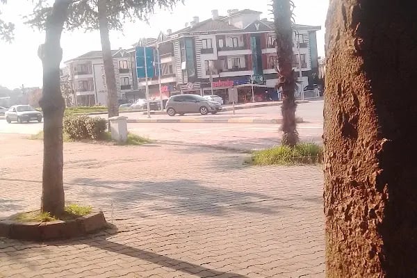 Sakar Baba Türbesi - Resim 15