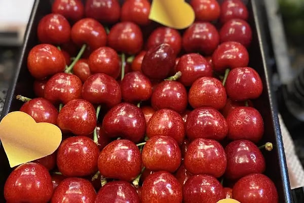İBB-Bayrampaşa Sebze ve Meyve Hali - Resim 18