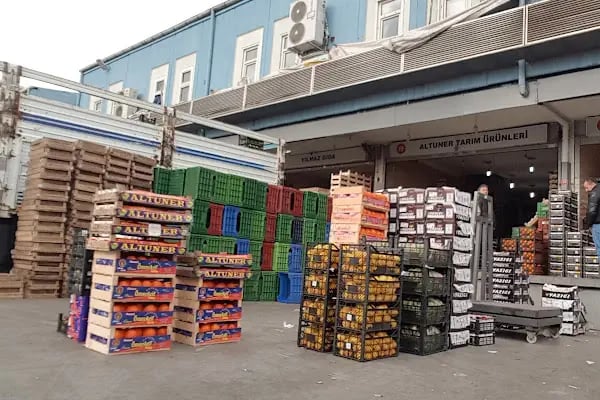 İBB-Bayrampaşa Sebze ve Meyve Hali - Resim 7