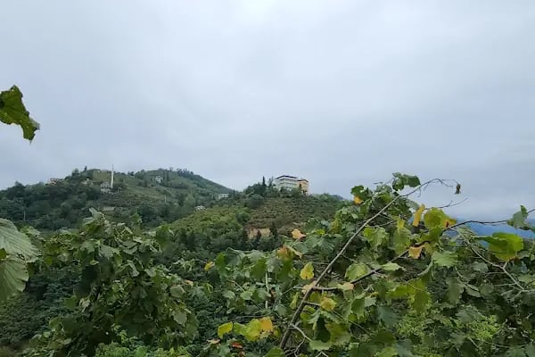 Muhcuoğlu mahalle - Resim 4