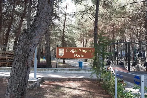 Muğla Sıtkı Koçman Üniversitesi Spor Sahası - Stadyum - Resim 6