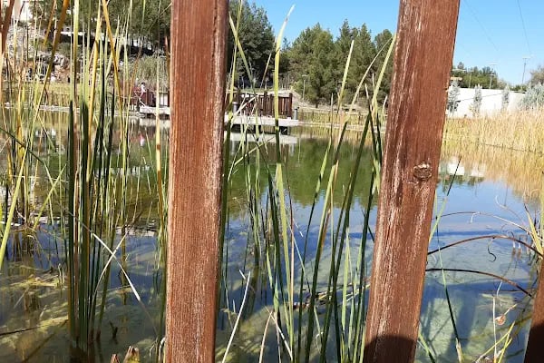 Muğla Sıtkı Koçman Üniversitesi Spor Sahası - Stadyum - Resim 10