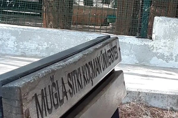 Muğla Sıtkı Koçman Üniversitesi Spor Sahası - Stadyum - Resim 9