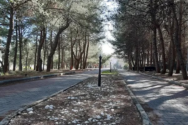 Muğla Sıtkı Koçman Üniversitesi Spor Sahası - Stadyum - Resim 4