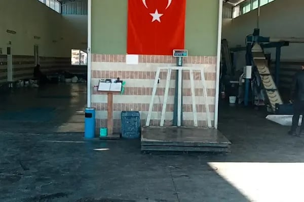 Babaoğlu Zeytinyağı Fabrikası Emişbeleni - Resim 4