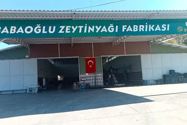 Babaoğlu Zeytinyağı Fabrikası Emişbeleni - Resim 8