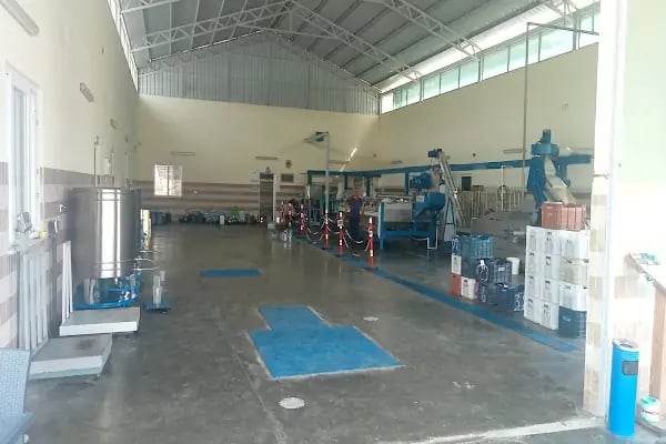 Babaoğlu Zeytinyağı Fabrikası Emişbeleni - Resim 6