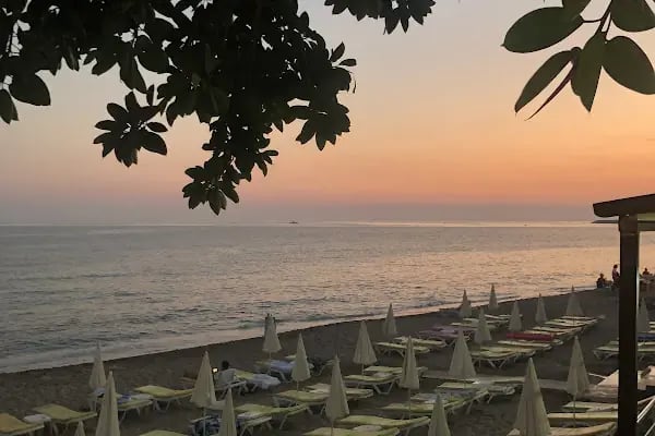Hotel Muz - Resim 15