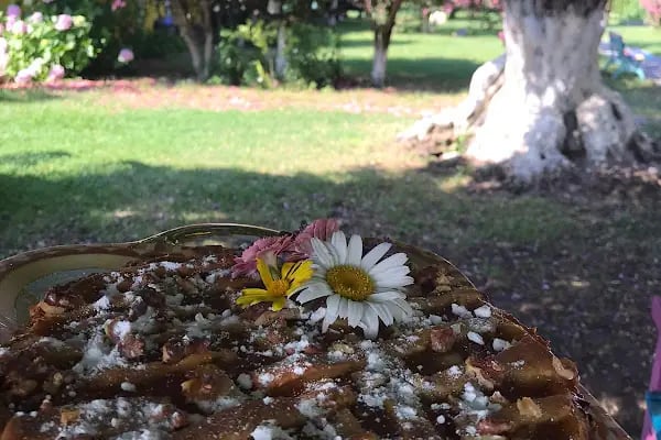 Çiçek Evler Tatil Köyü - Resim 12